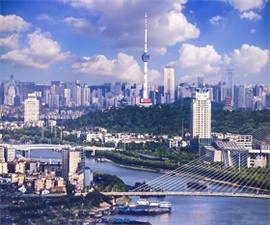 武漢友德汽車(chē)電器有限公司